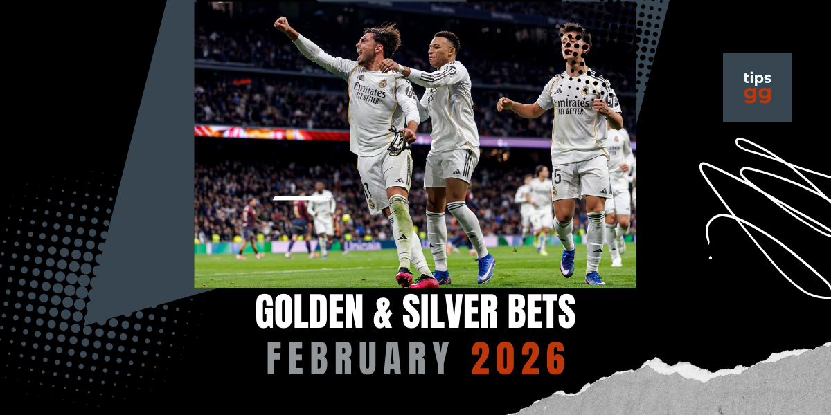 资深分析：上月投注数据深度复盘，高赔率斩获与策略洞察