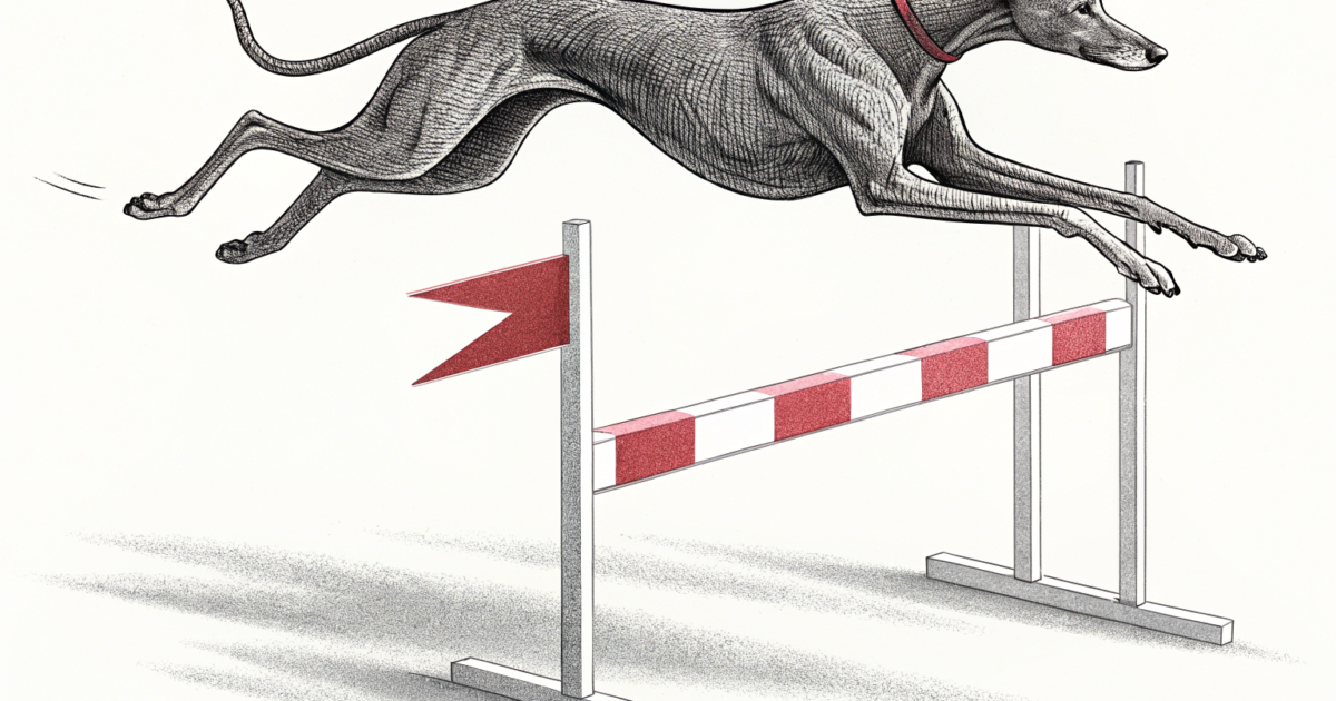 澳洲卡西诺赛狗俱乐部90周年庆典：历史传承与未来展望