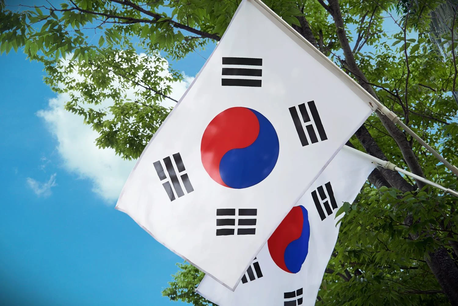 韩国重拳出击：成立专案组打击非法体育直播与网络赌博