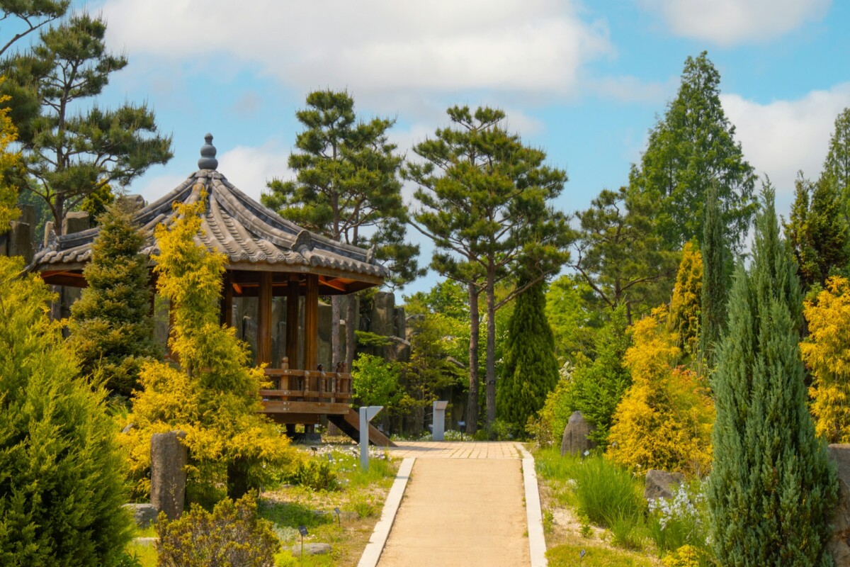 首尔公园沦为老年赌徒天堂:儿童乐园变赌场,社区安全引担忧 首尔公园沦为老年赌徒天堂:儿童乐园变赌场,社区安全引担忧