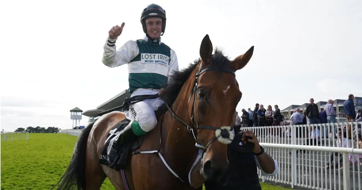 赛马名将JJ斯莱文：剑指2026切尔滕纳姆，两大王牌马冲刺荣耀