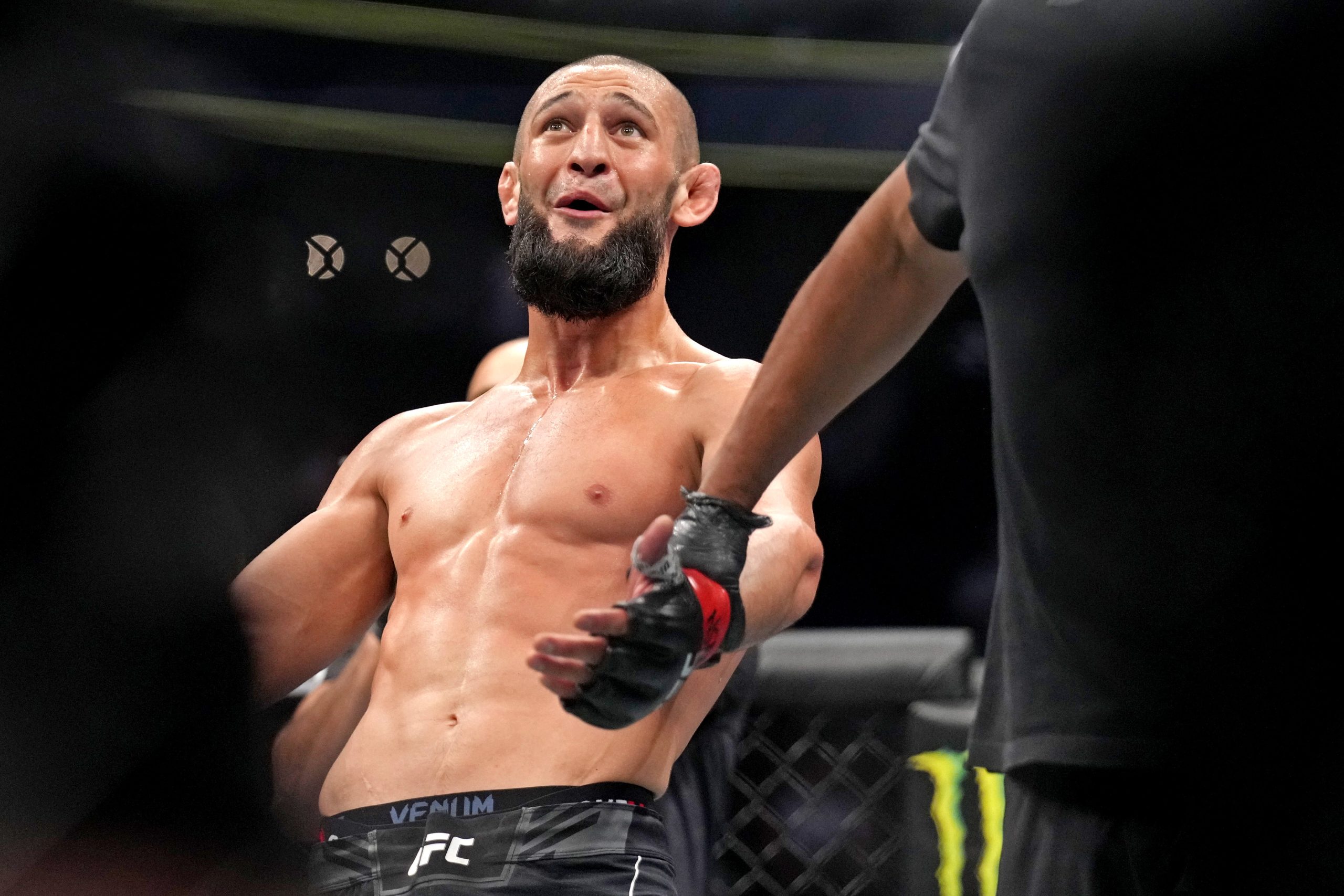 UFC 328巅峰对决：奇马耶夫VS斯特里克兰德，中量级冠军战深度解析