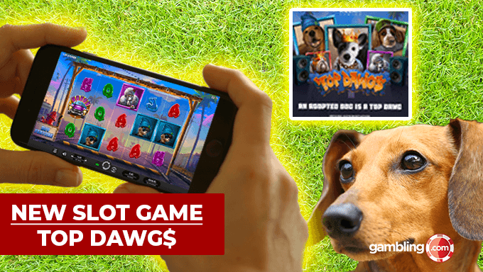 Relax Gaming新老虎机《Top Dawgs》：娱乐公益两不误，呼吁领养代替购买