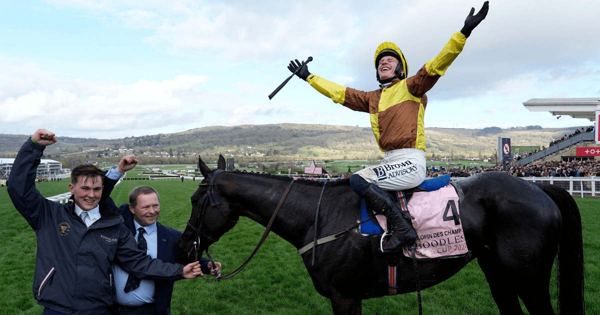 保罗·汤能德：切尔滕纳姆赛马节的现代标杆