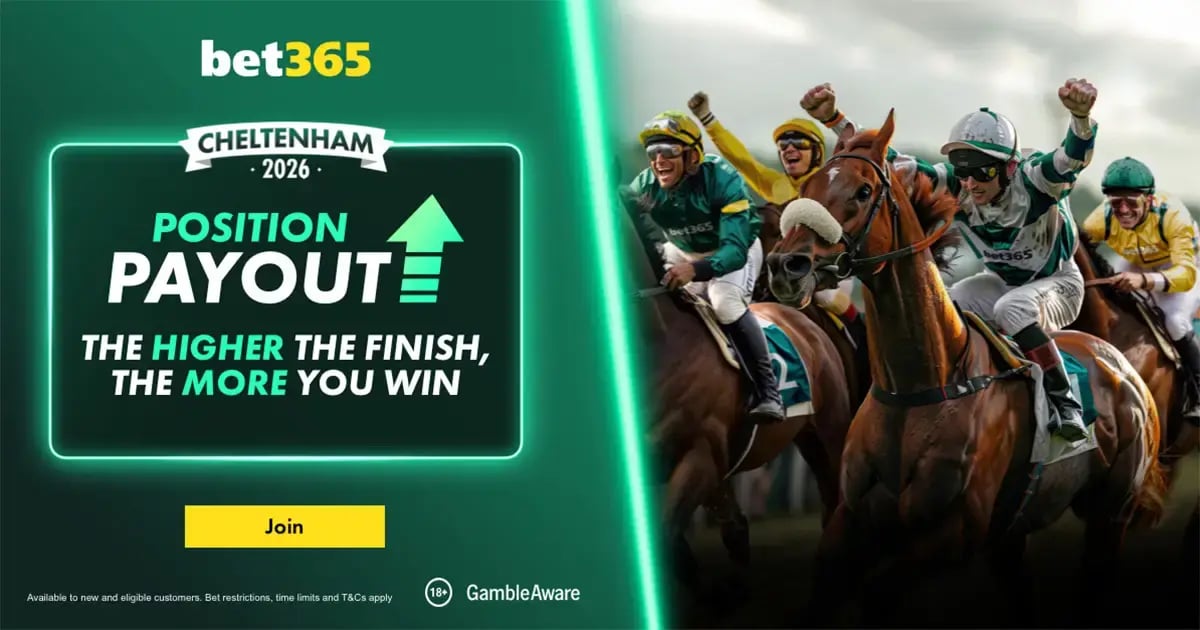 赛马新玩法：Bet365“位置派彩”深度解析，不再只看输赢！