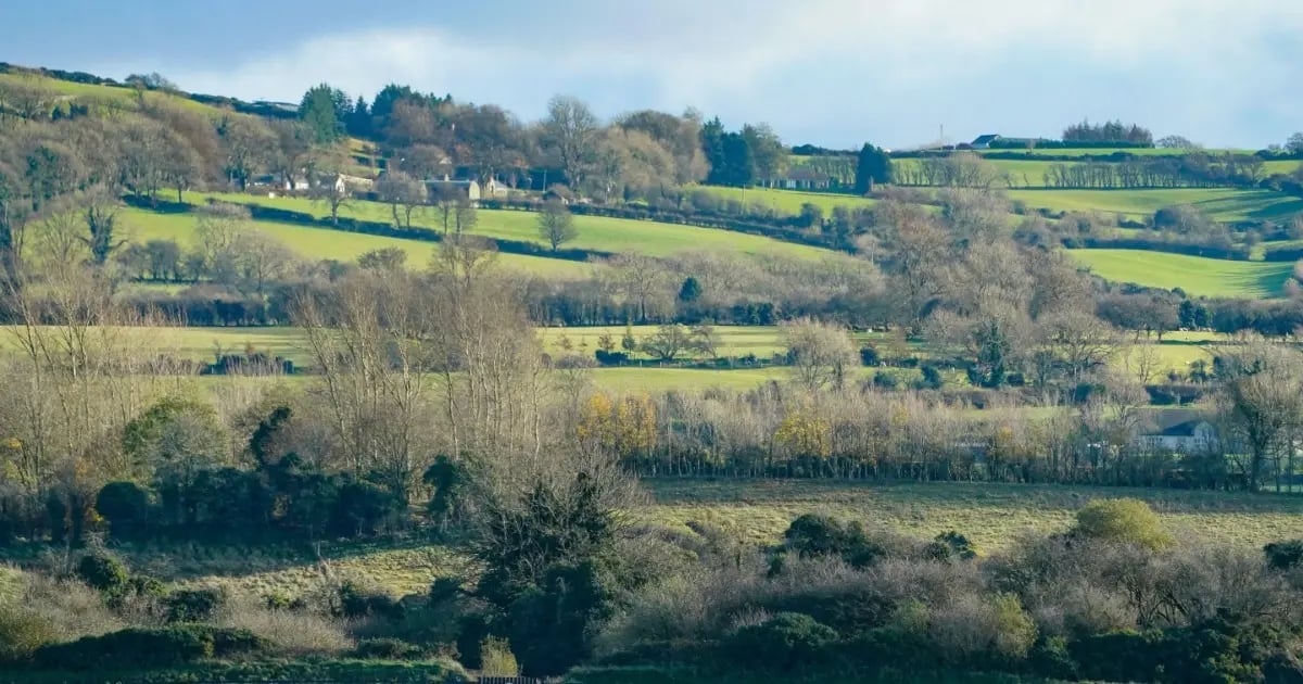 蓬奇斯敦赛马节首日：资深专家麦克莱恩独家精选