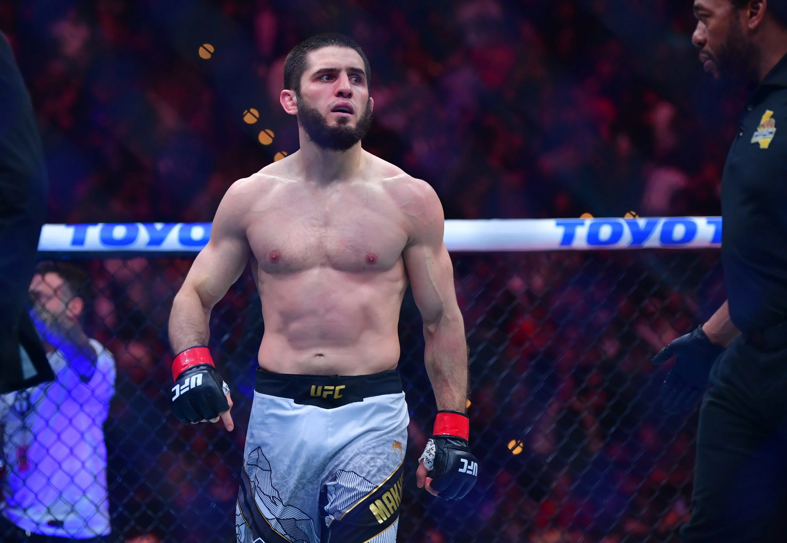 UFC 330深度解析:马哈切夫卫冕战,专家独家投注指南 UFC 330深度解析:马哈切夫卫冕战,专家独家投注指南