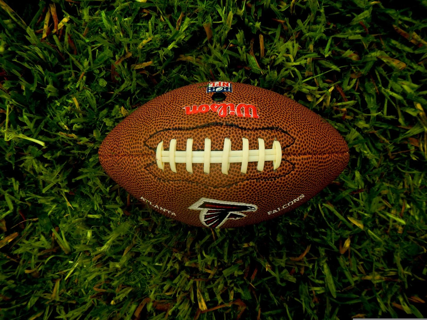 2026 NFL选秀第五顺位:阿维尔·里斯的巨人时代与未来展望 2026 NFL选秀第五顺位:阿维尔·里斯的巨人时代与未来展望