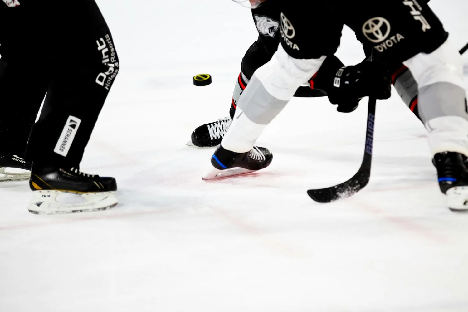 CFTC联手NHL打击预测市场内幕交易,维护体育诚信 CFTC联手NHL打击预测市场内幕交易,维护体育诚信