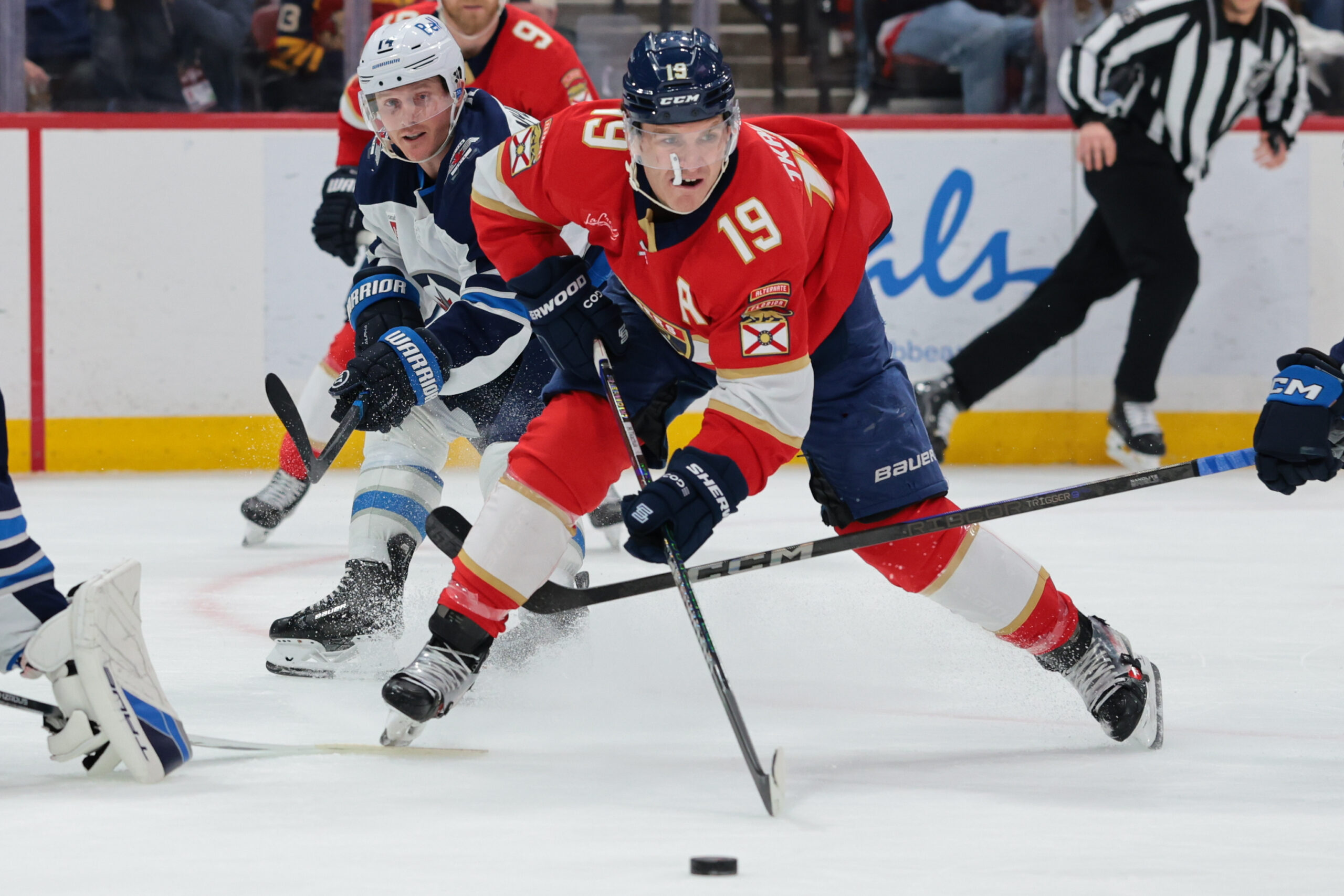 NHL冰球前瞻：黑豹主场力擒棕熊，强势反弹在即！