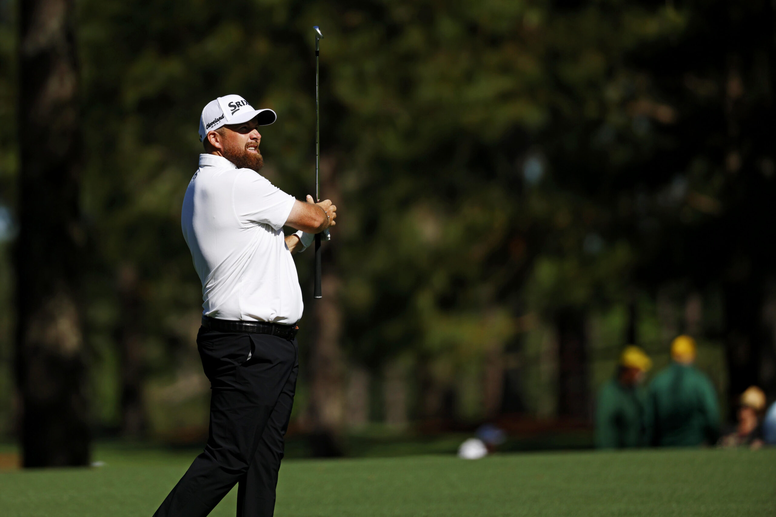 2026认知经典赛:棕榈滩激战,谁是赔率黑马? 2026认知经典赛:棕榈滩激战,谁是赔率黑马?