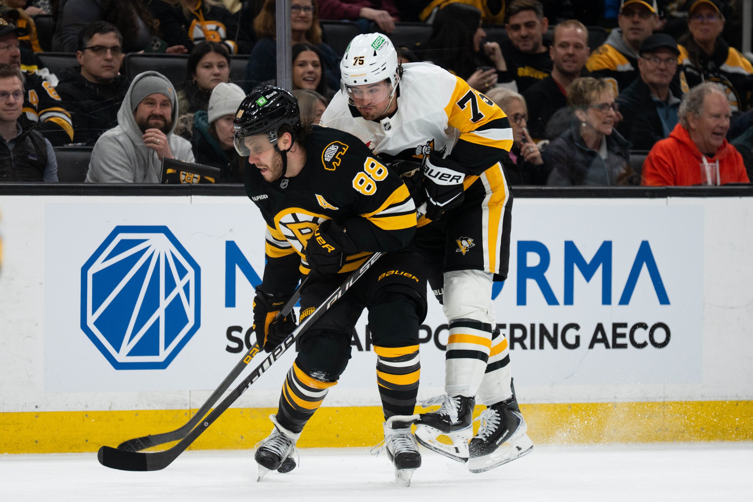 NHL前瞻:波士顿棕熊vs匹兹堡企鹅,伤兵满营企鹅能否抵挡棕熊攻势? NHL前瞻:波士顿棕熊vs匹兹堡企鹅,伤兵满营企鹅能否抵挡棕熊攻势?