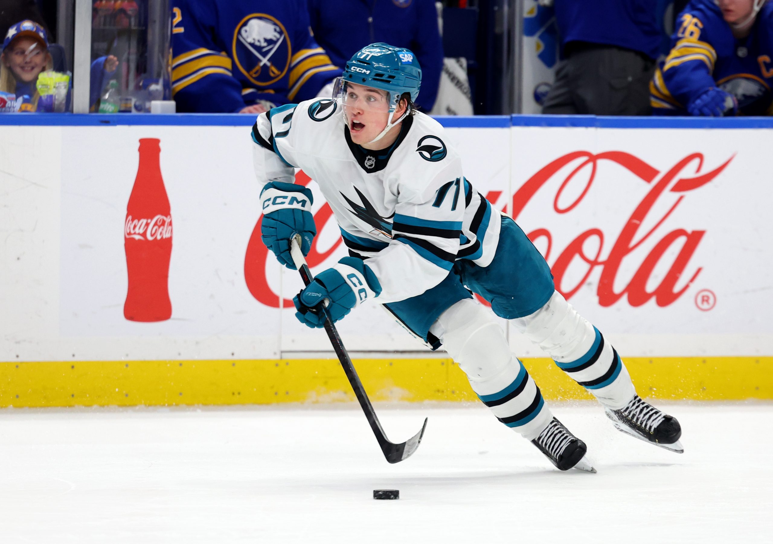 NHL前瞻：波士顿棕熊主场连胜能否延续？圣何塞鲨鱼挑战季后赛席位