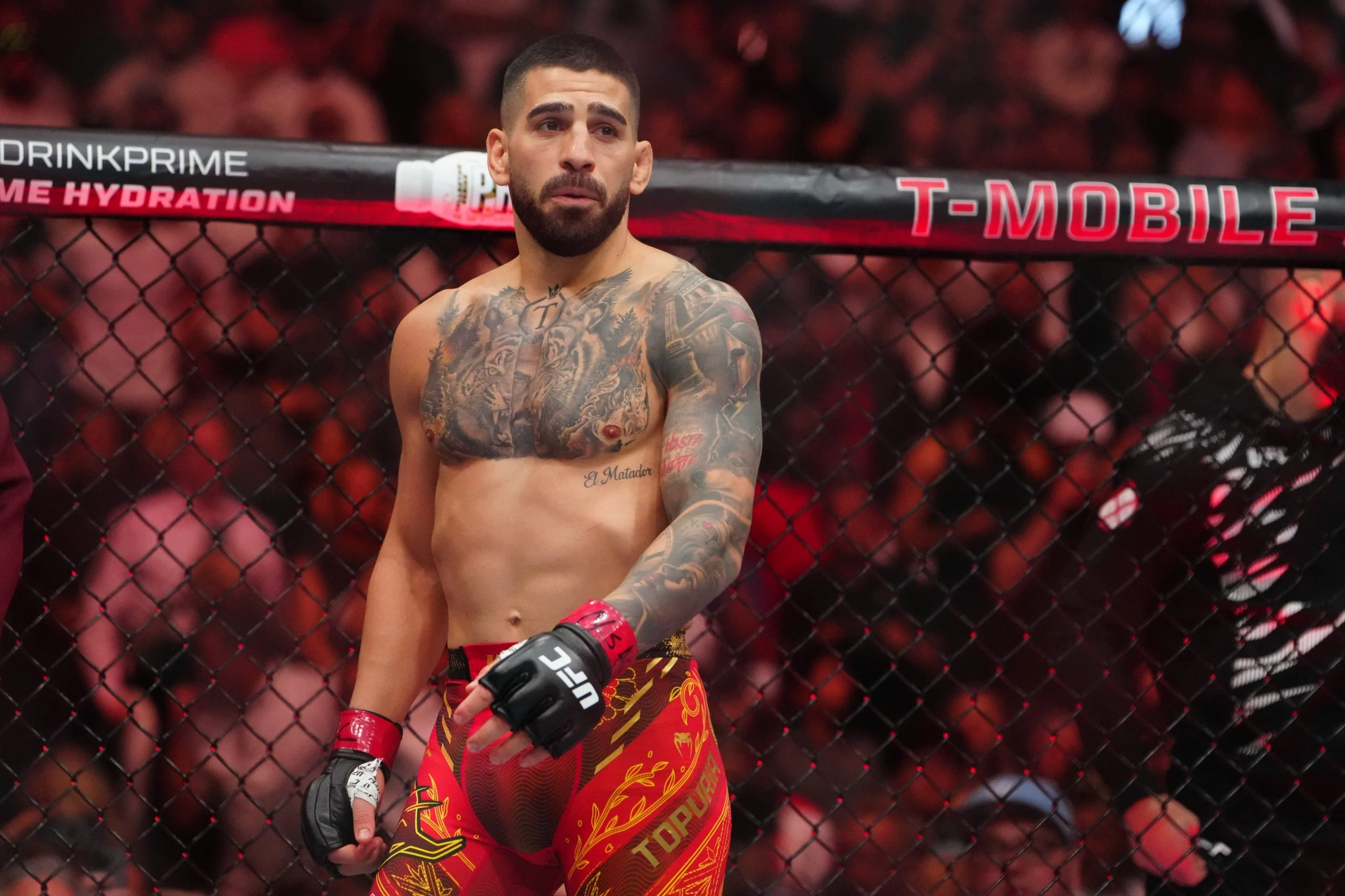 UFC自由250:白宫草坪激战,专家深度解析与投注指南 UFC自由250:白宫草坪激战,专家深度解析与投注指南