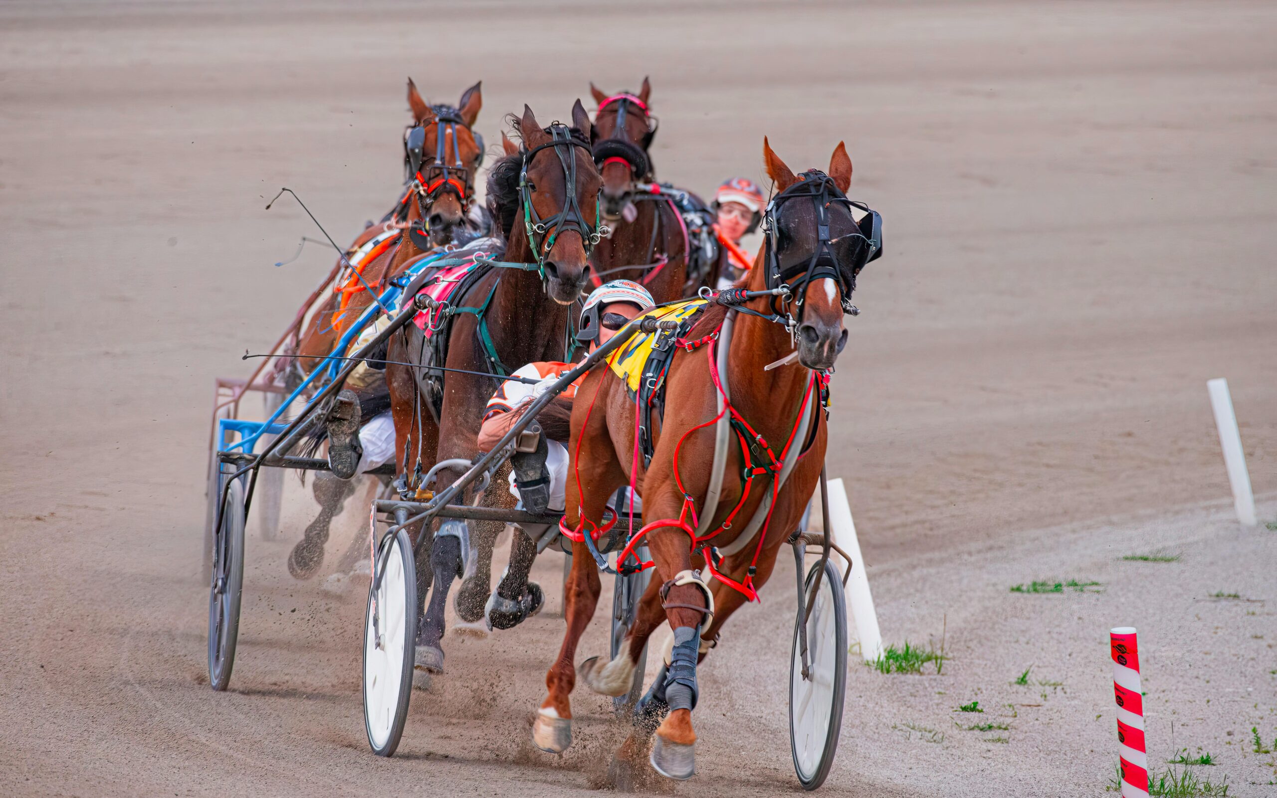 霍桑赛马场执照被吊销：芝加哥赛马业风雨飘摇