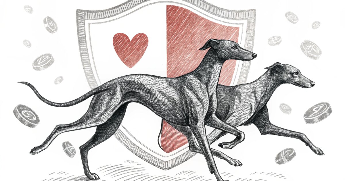 新南威尔士赛狗受伤率锐减：安全措施显成效，动物福利再升级