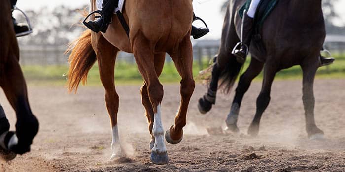 英国博彩税巨变:Coral杯赞助告吹,行业震荡加剧 英国博彩税巨变:Coral杯赞助告吹,行业震荡加剧