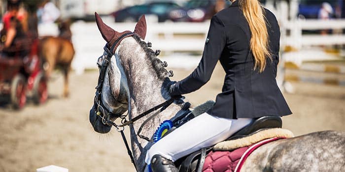霍桑赛马场深陷危机:执照被吊销,赌场项目命悬一线 霍桑赛马场深陷危机:执照被吊销,赌场项目命悬一线
