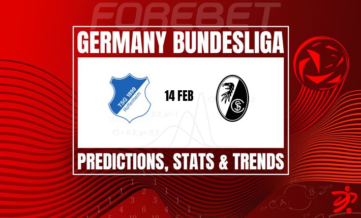 霍芬海姆 vs 弗赖堡：主场龙能否打破历史魔咒？