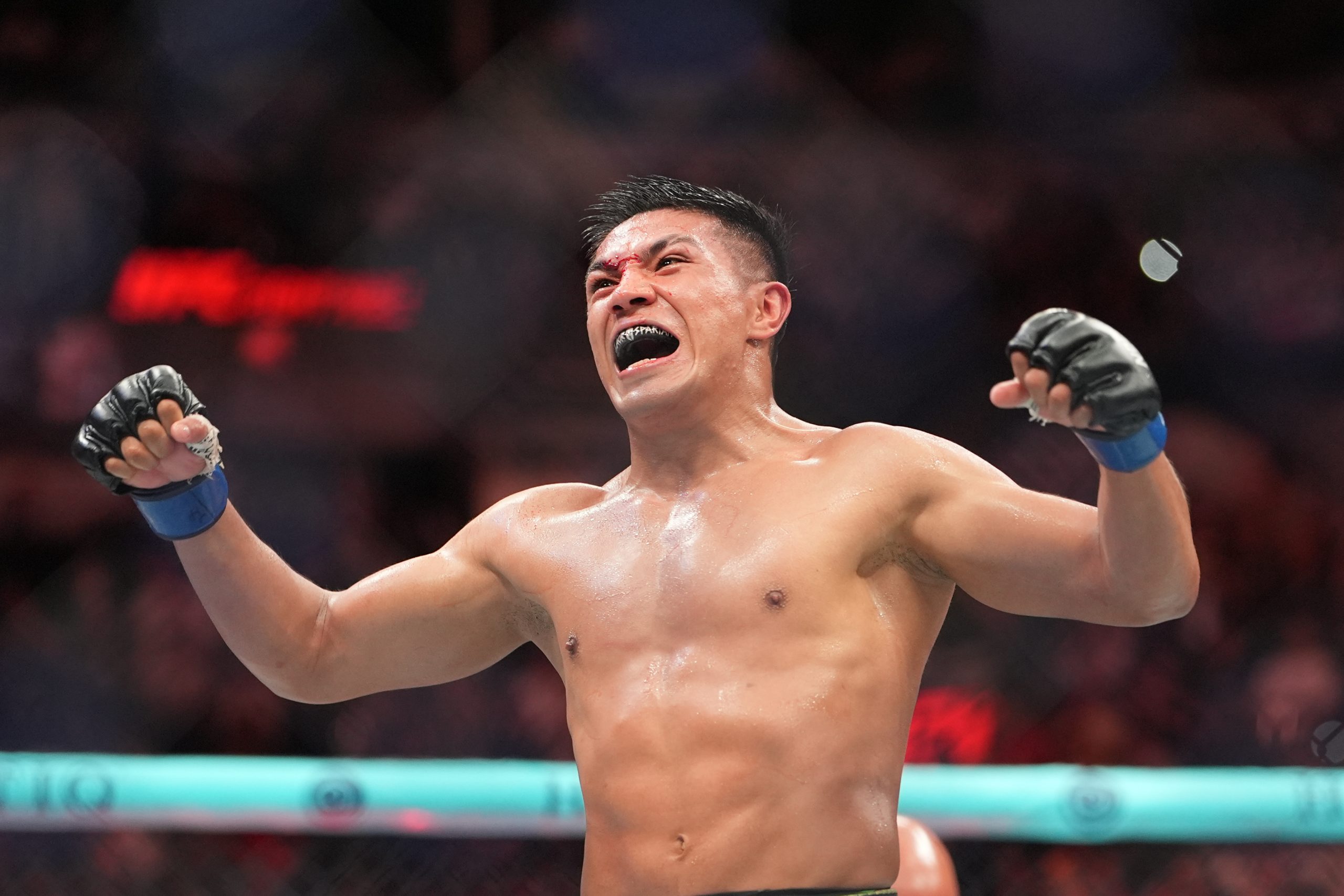 UFC墨西哥城：马丁内斯 vs 维拉深度分析与精准投注