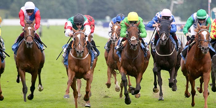 威廉希尔切尔滕纳姆狂赚：单日利润创历史新高，玩家血亏4.5亿英镑