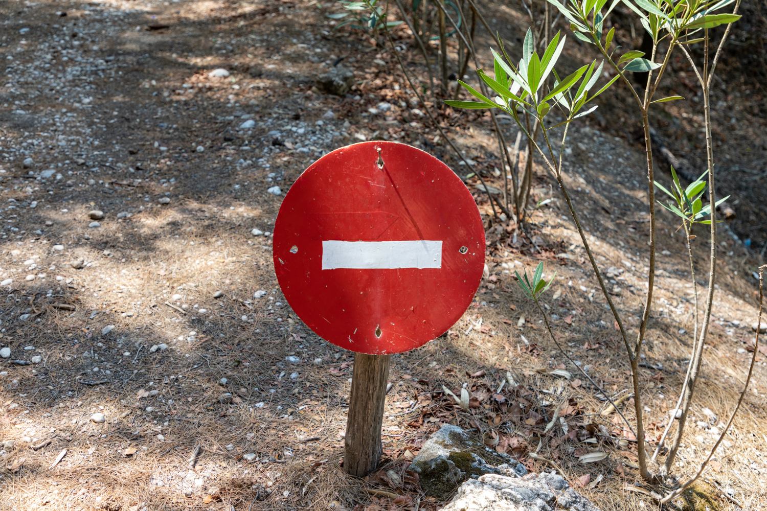 肯塔基博彩改革法案HB 904遭州长否决:年龄限制与监管权之争 肯塔基博彩改革法案HB 904遭州长否决:年龄限制与监管权之争