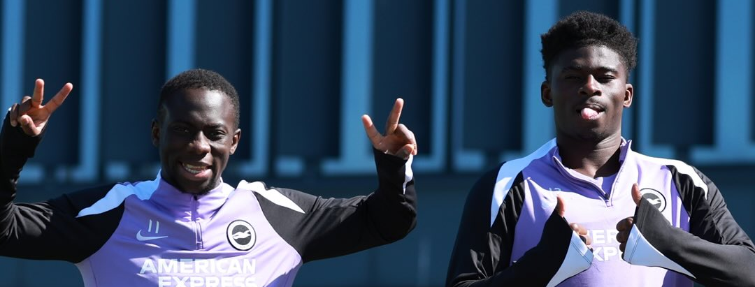 纽卡斯尔vs布莱顿：英超生死战，海鸥高飞喜鹊沉沦？