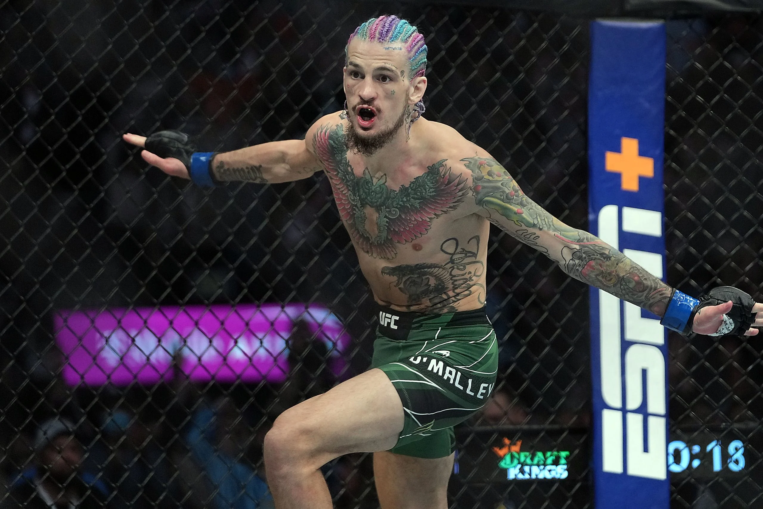 UFC自由250：奥马利 vs 扎哈比，冠军战前哨战深度分析
